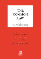 COMMON LAWTHE - 9788413690186